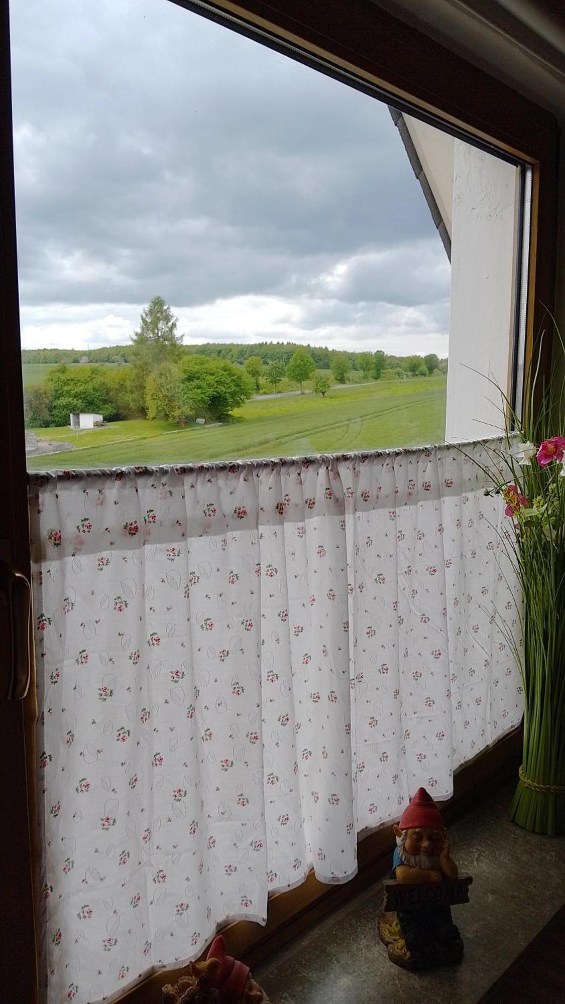 Gruene Oase In Hann. Muenden Hannoversch Münden Kültér fotó